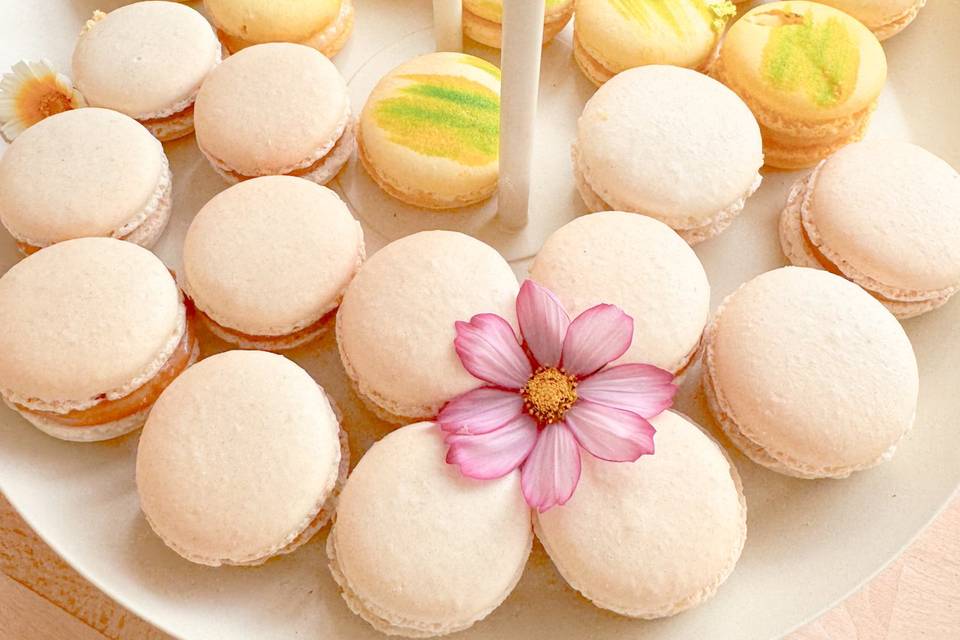 Macarons