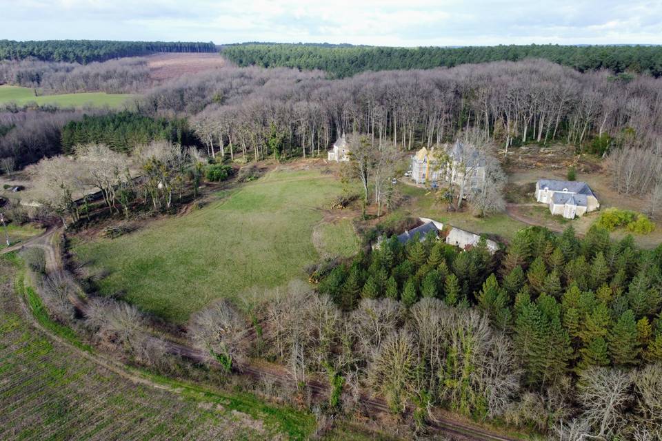 Drone parc et forêt