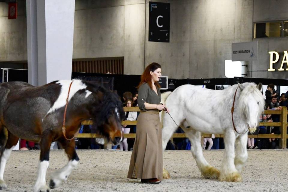Cercle duo
