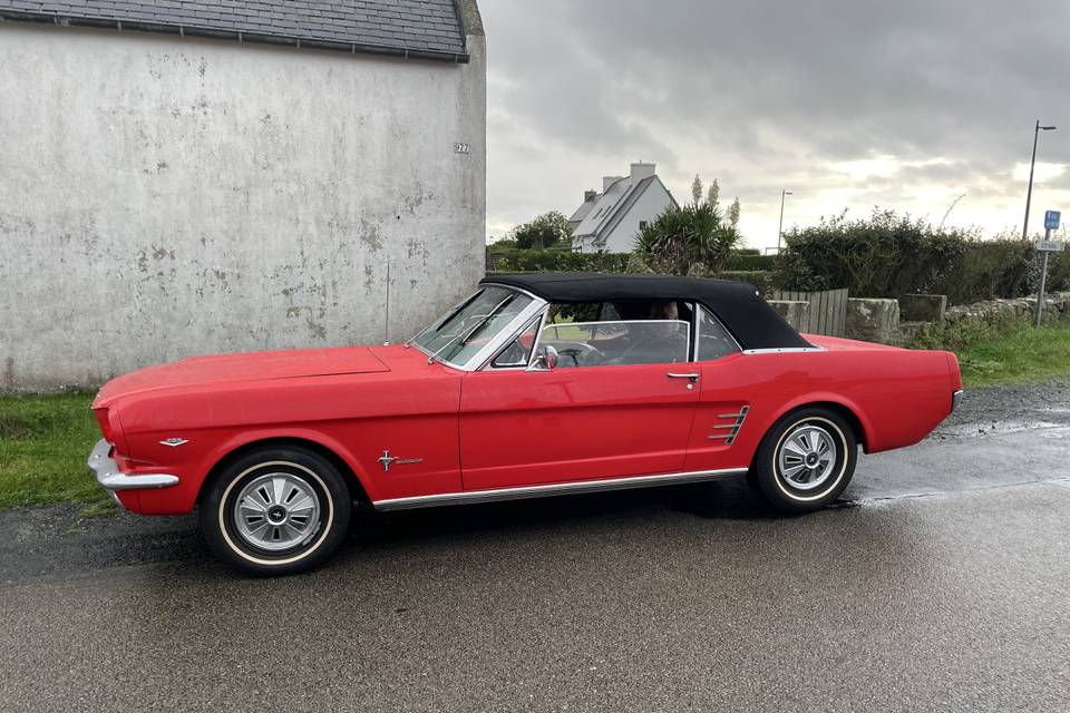 Mustang