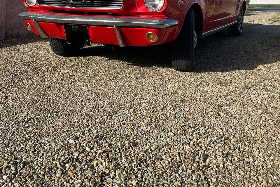 Mustang