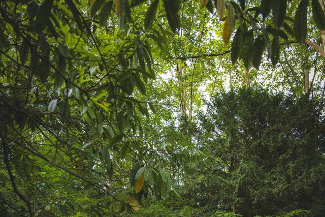 Nature