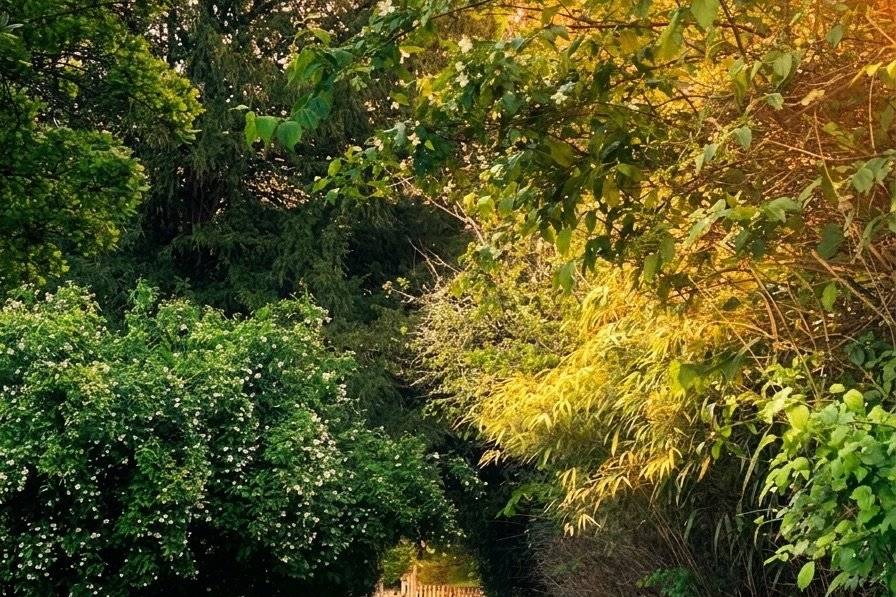 Chemin vers la rivière Belisle