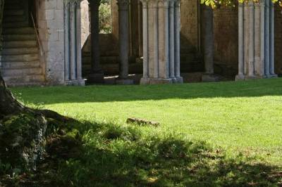 Abbaye Fontaine-Guérard