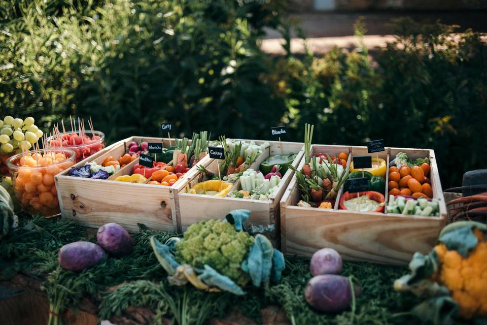 Ateliers légumes