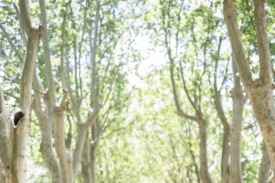 Photographe mariage Nantes