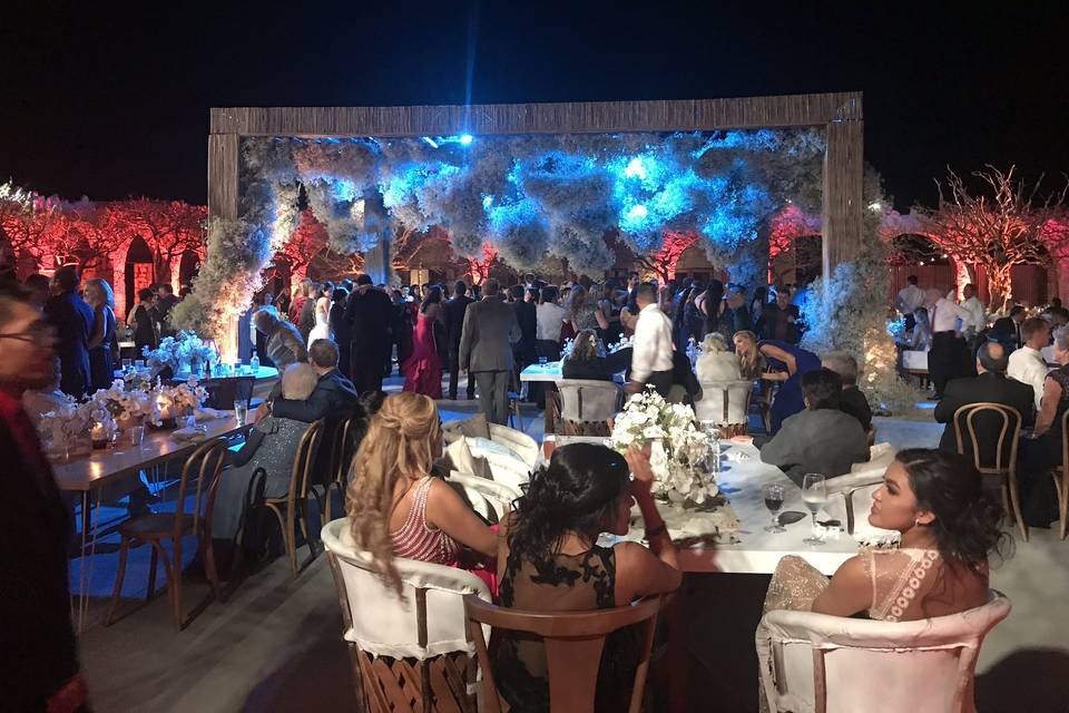 Party