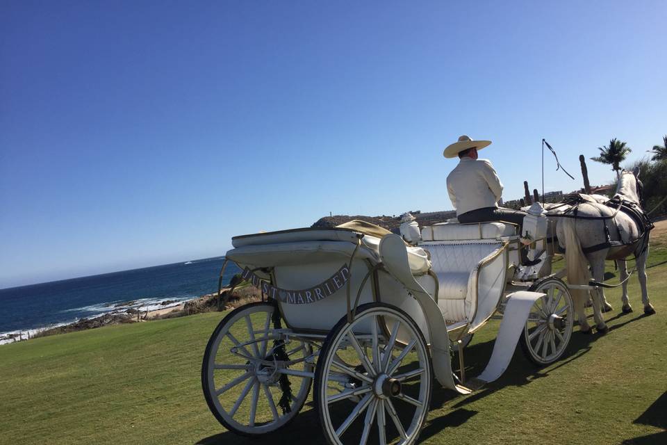 Just Married