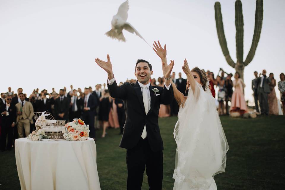Bride & Groom