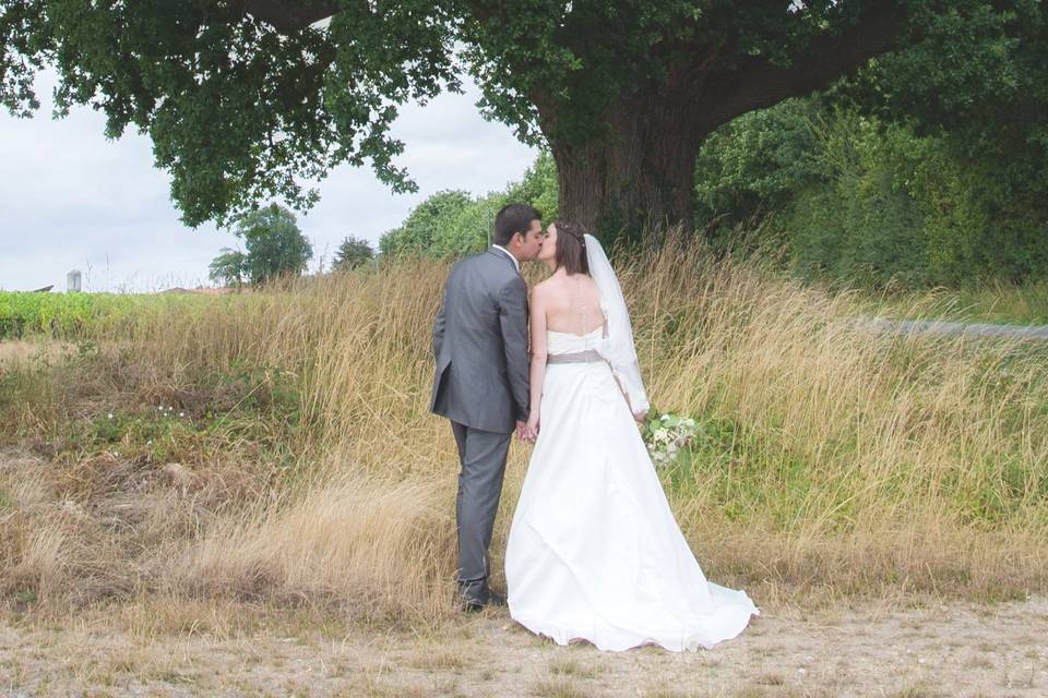 L'arbre des amoureux