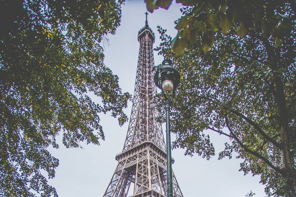 Michaël Gonçalves - Photographe