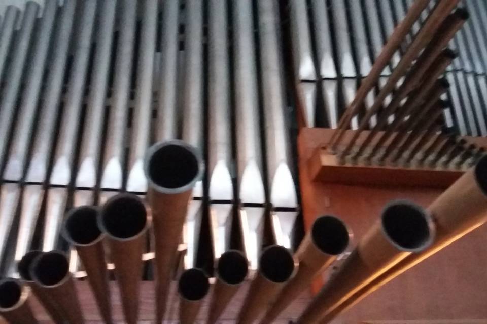 à l'orgue de Bellegarde