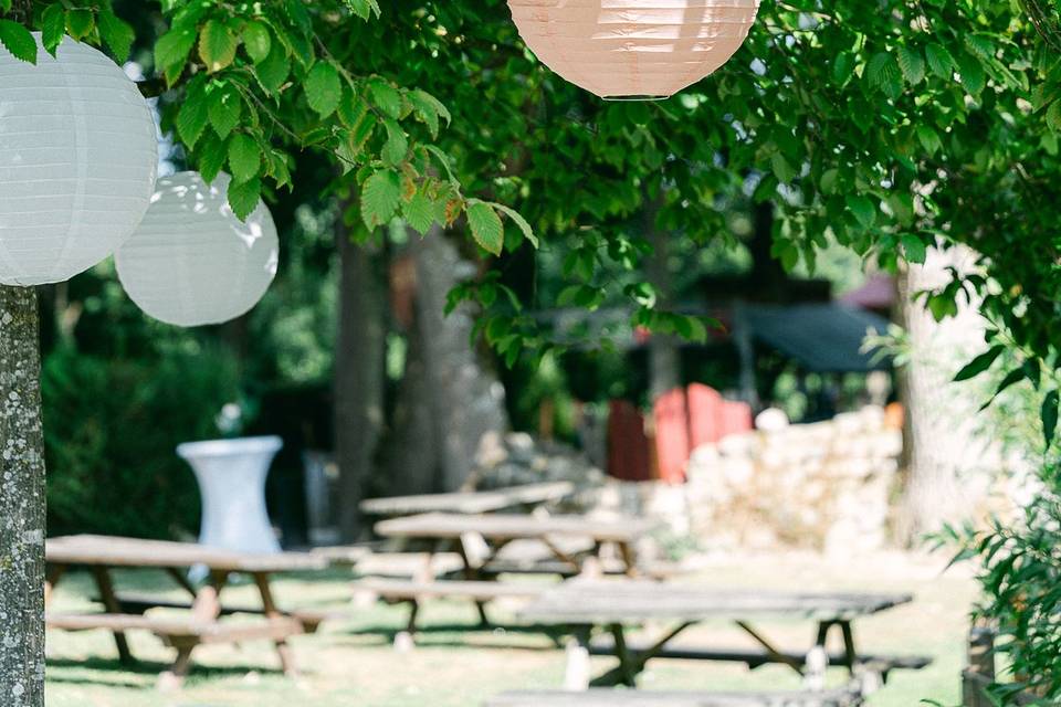 Lampions arbres