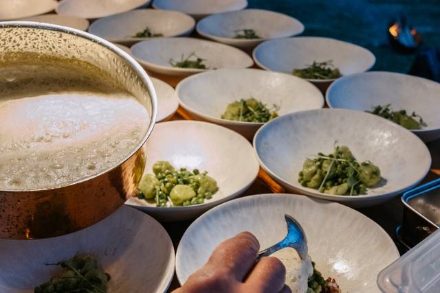Petits pois, ventrêche mélisse