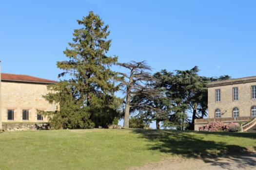 Château de Tauziès