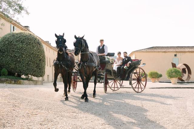 Balade en calèche