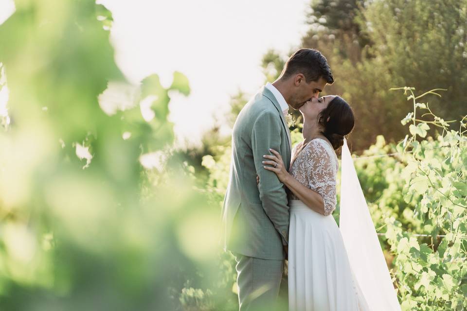 Couple dans les vignes