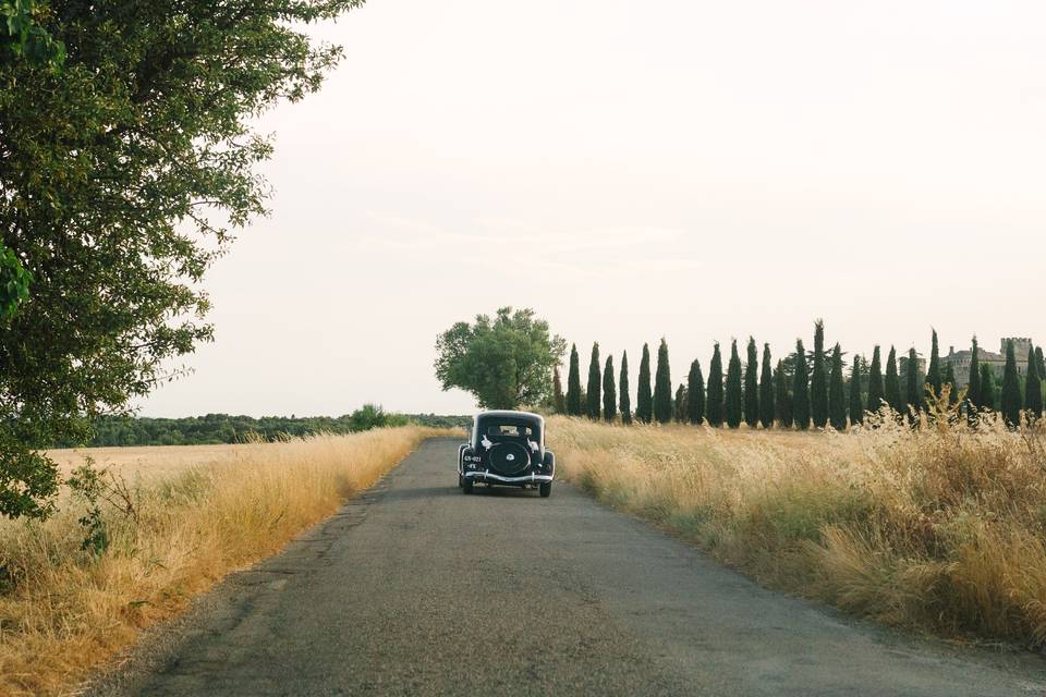 Voiture champ provençal