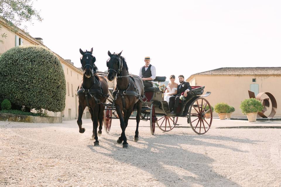 Balade en calèche