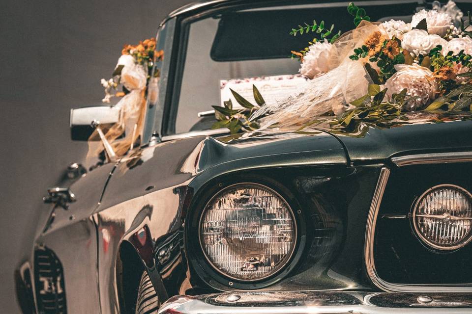 Mustang