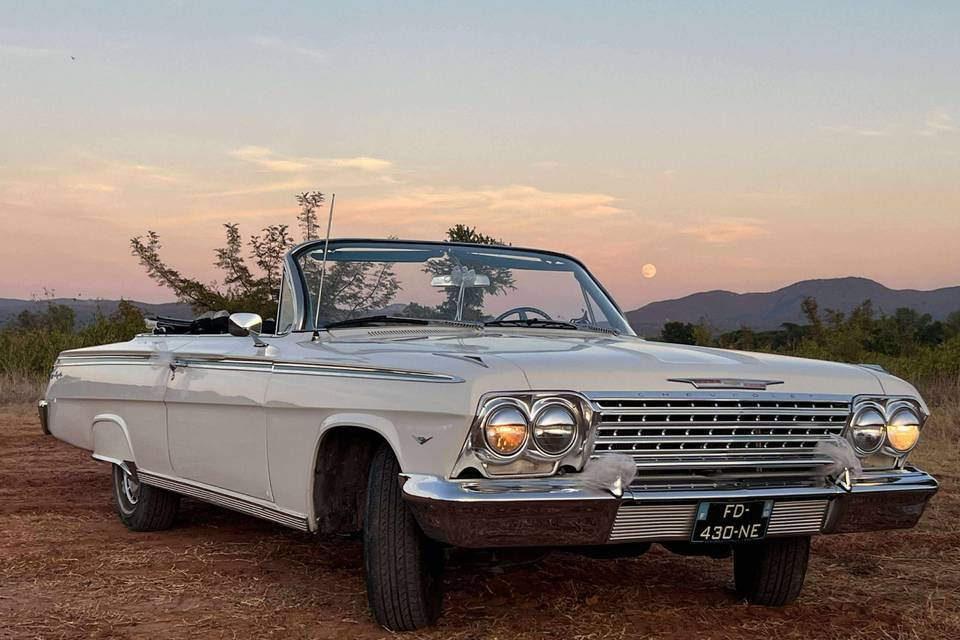 Impala