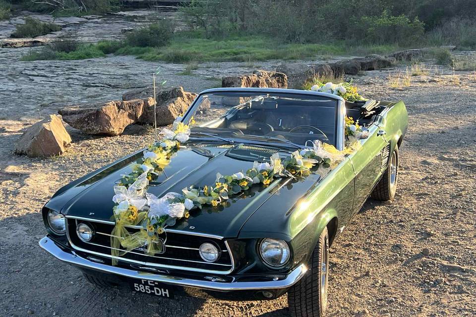 Ford Mustang 1967