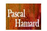 Pascal Hamard logo