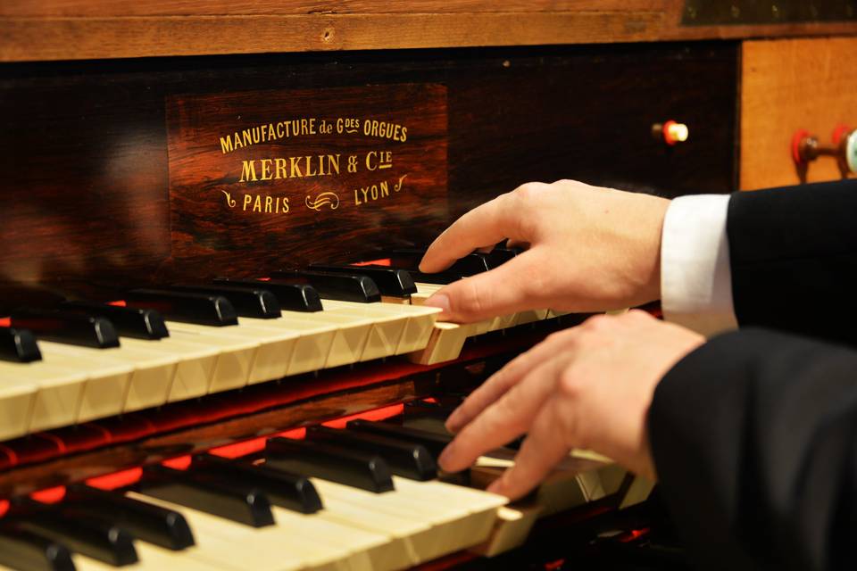 Ici orgue Merklin (Marseille)