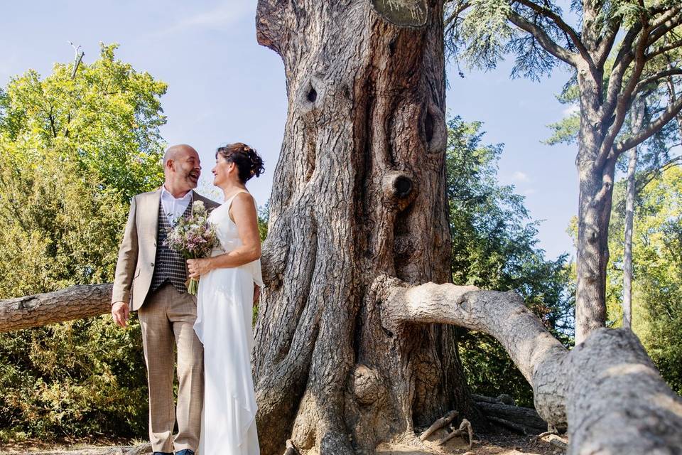 Au pied d'un arbre