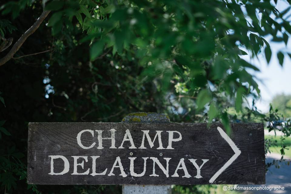 Champ Delaunay