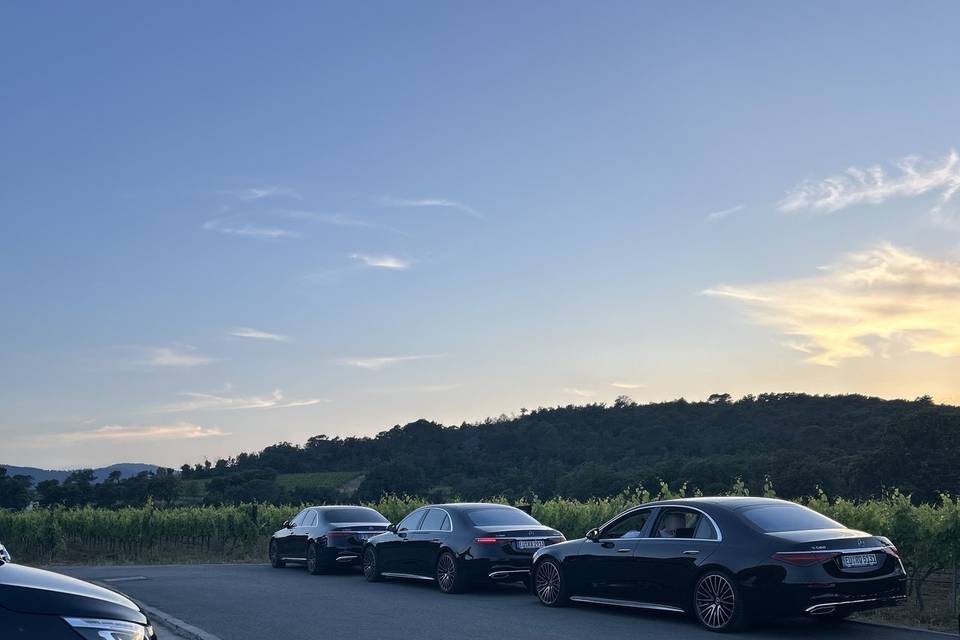 Mariage dans les vignes du Var