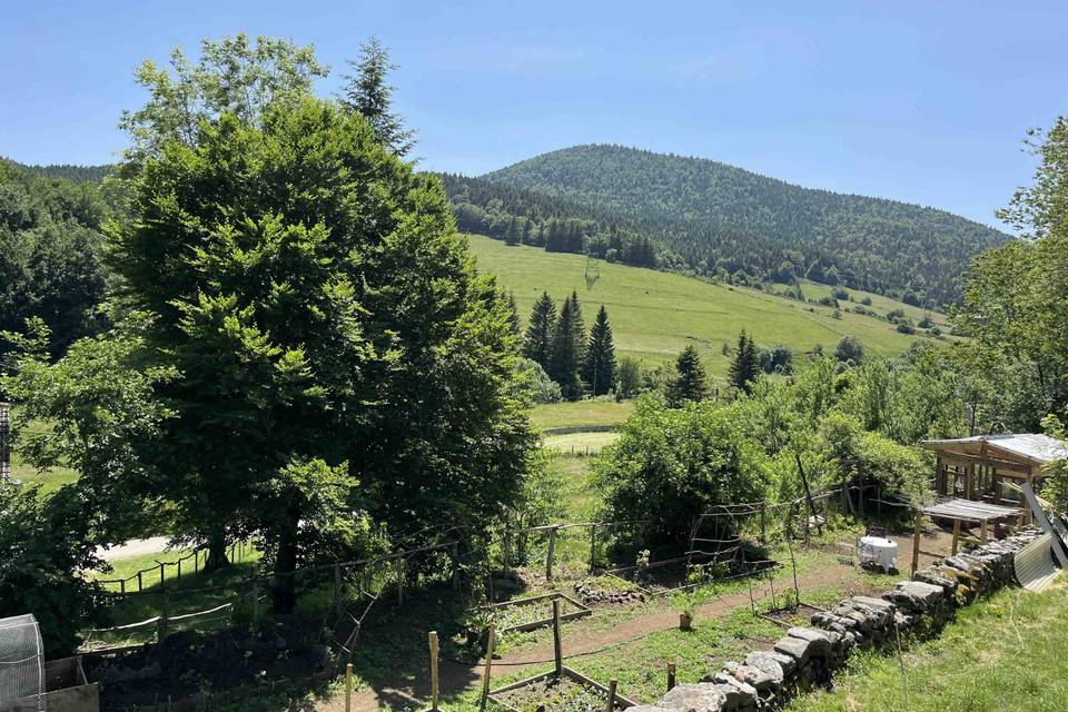 Domaine