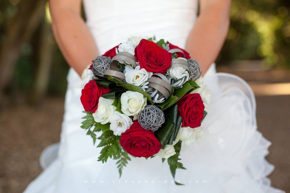 Arnaud Dréan Photographe de Mariage