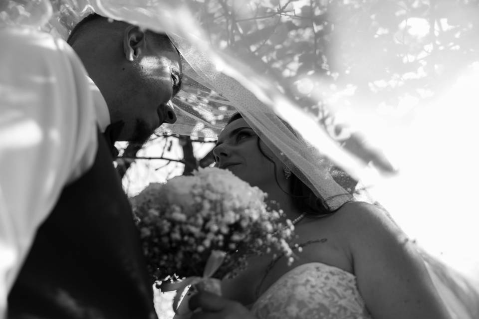 S&K amour