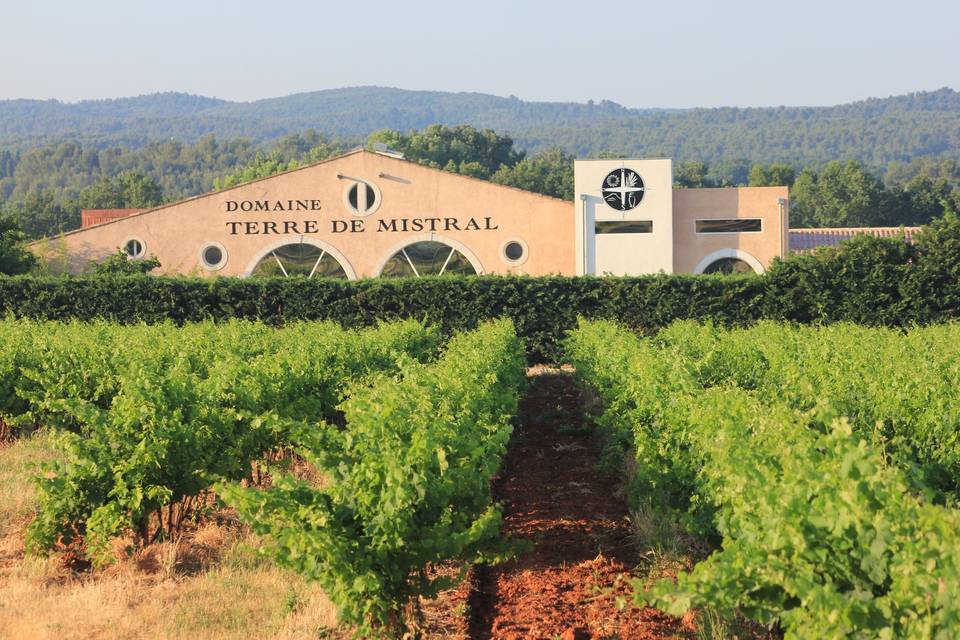 Vignes Terre de Mistral