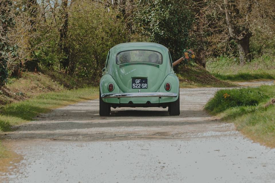 Coccinelle