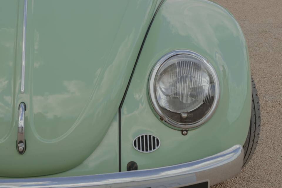 Coccinelle