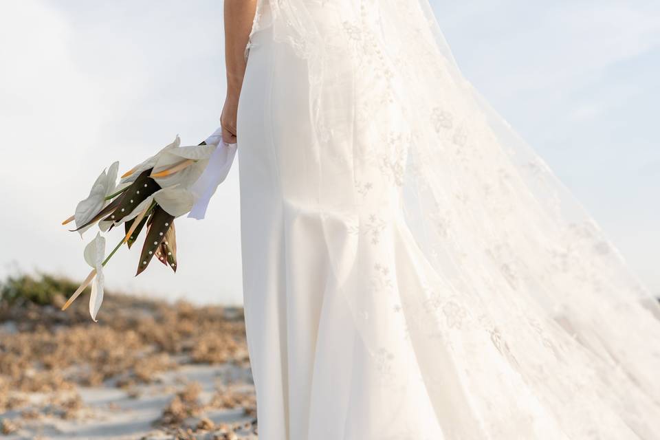 La dentelle sur la plage