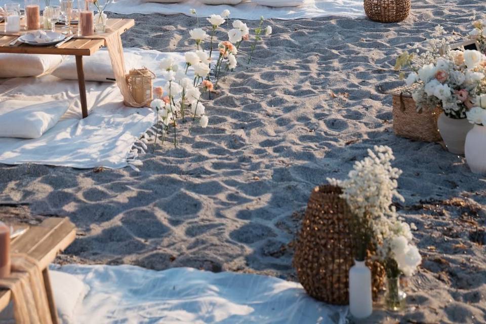 La plage... Il était un Picnic