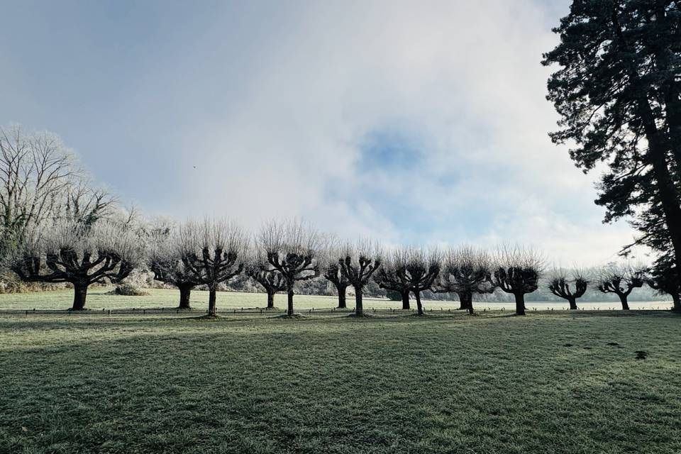 Le parc en hiver