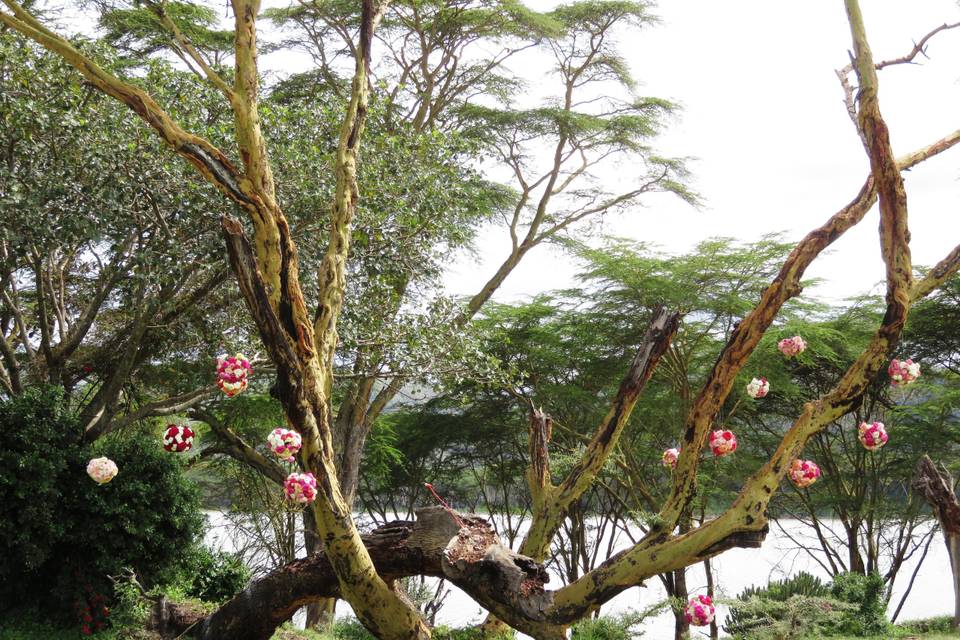 Mariage au Kenya