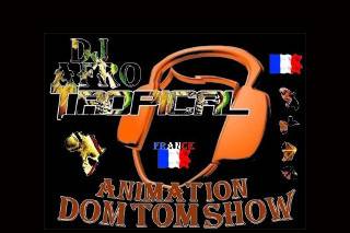 DJ Animation DomTom Show