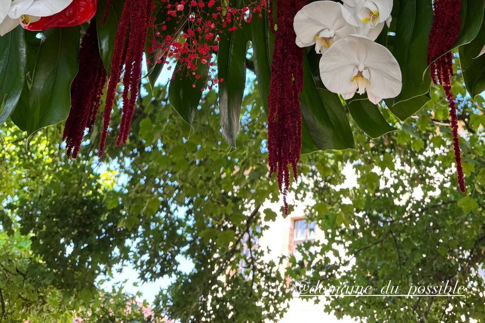 Arche fleur exotique
