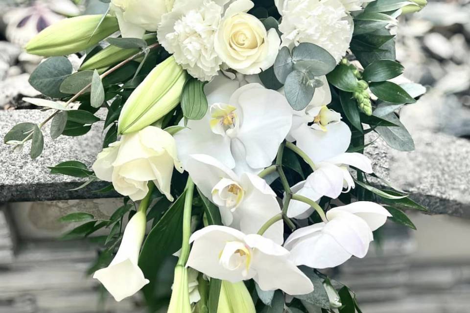 Maier Events