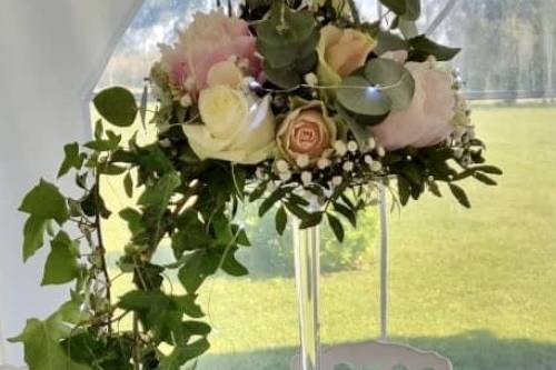 Maier Events