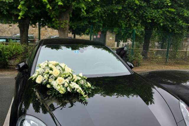 Capot de voiture