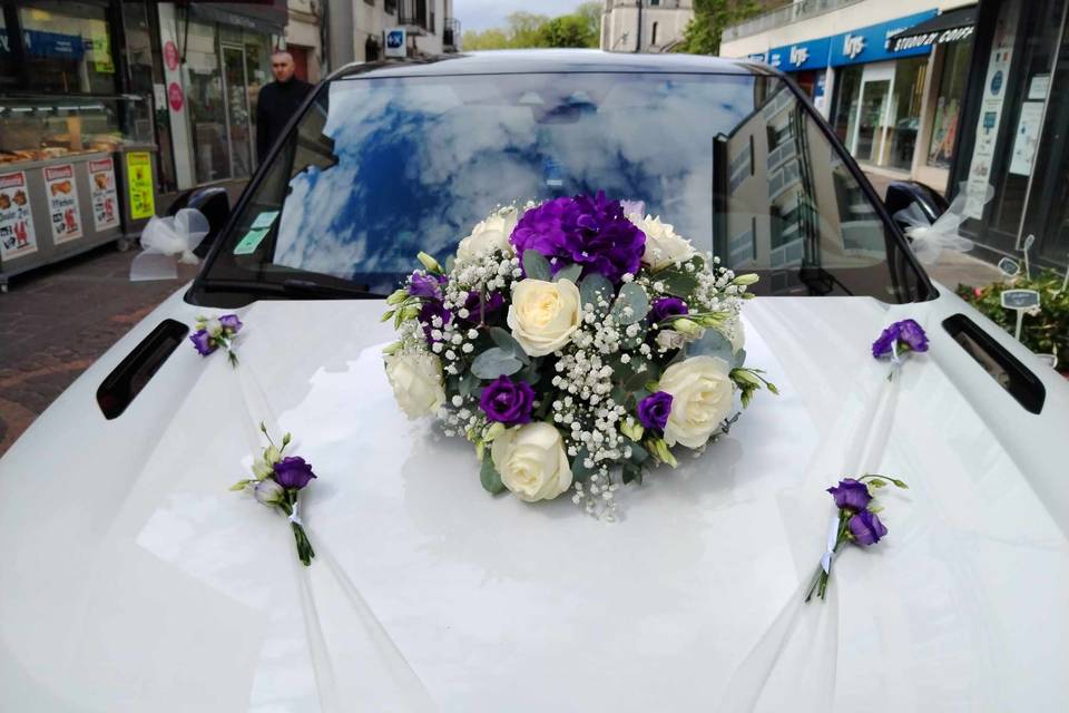Capot de voiture