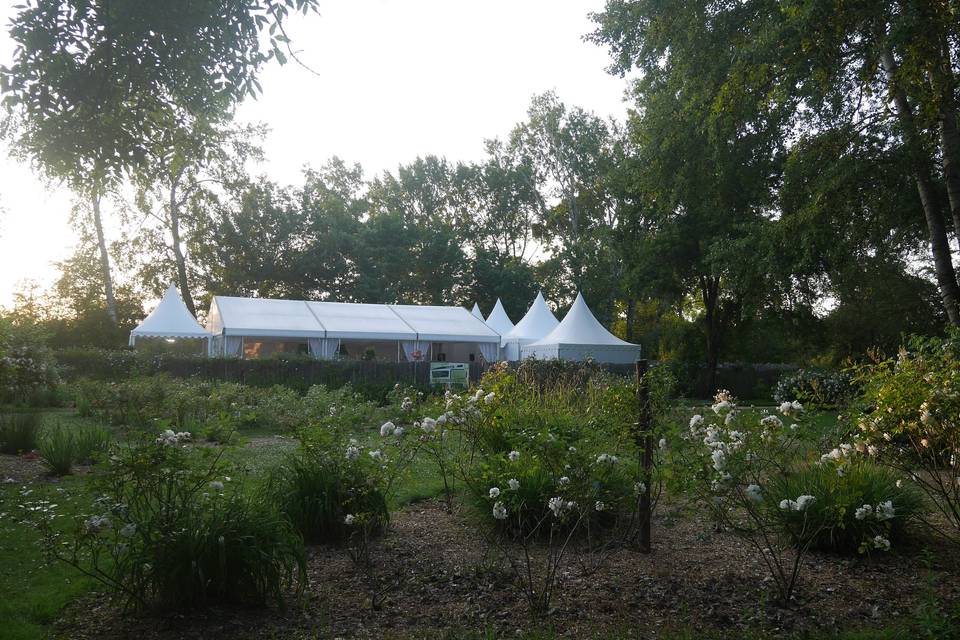 Vue du jardin soirée