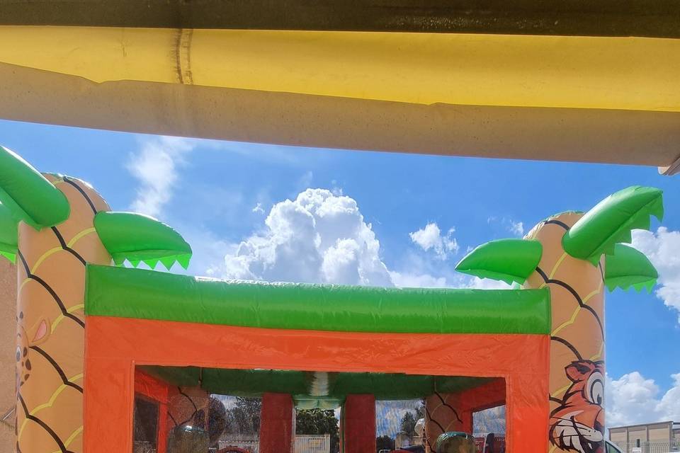 Safari
