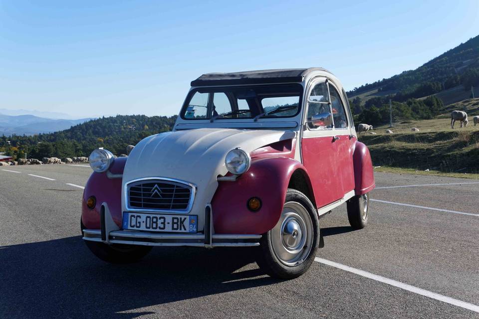 2CV 6 1985